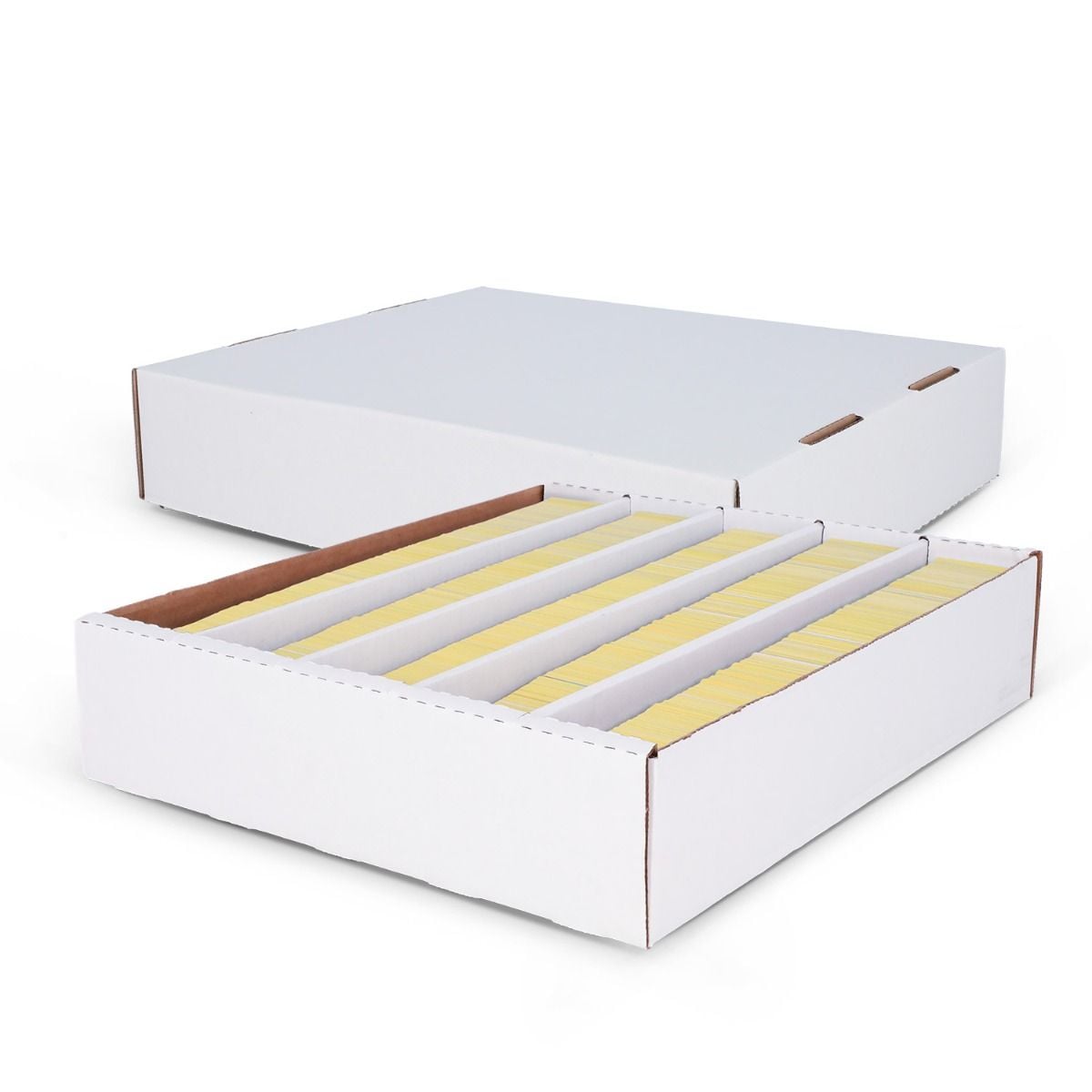 5000 Count Storage Box (Full Lid) | Lot of 25 supplier units
