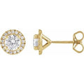14K Yellow Gold 1 CTW Lab-Grown Diamond Cocktail-Style Stud Earrings