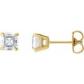 14K Yellow Gold 5/8 CTW Natural Diamond Earrings
