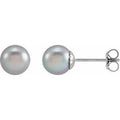 14K White Gold 6.5-7 mm Cultured Gray Freshwater Pearl Earrings