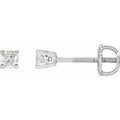 14K White Gold 1/4 CTW Natural Diamond Stud Earrings