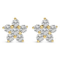 10K Gold 1/2 Cttw Lab Grown Diamond Star Stud Earrings