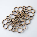 Nervous System Radiolaria Coordinated Set component 1
