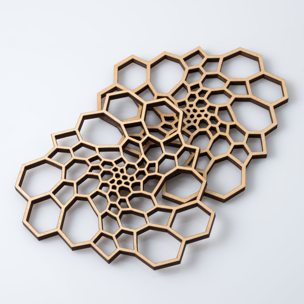 Nervous System Radiolaria Coordinated Set component 1