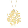 Nervous System Algae Coordinated Set component 1