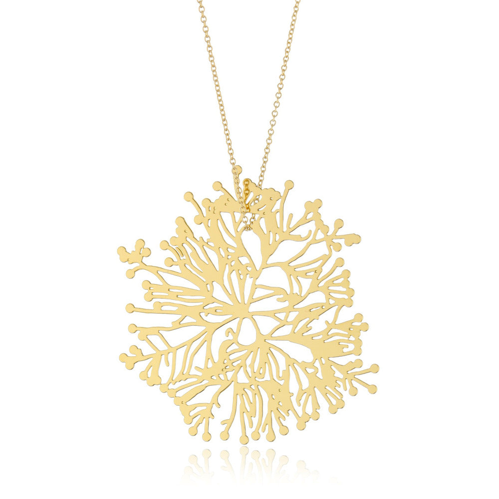 Nervous System Algae Coordinated Set component 1