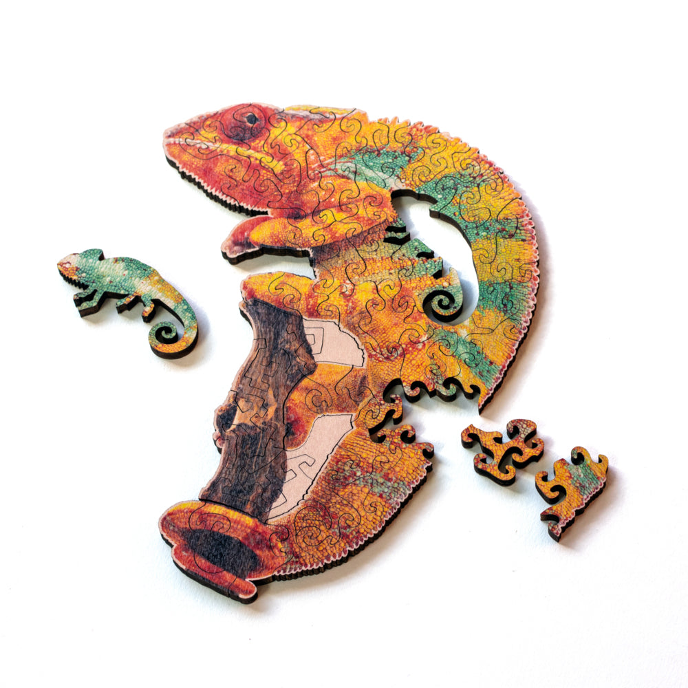 Nervous System Mini Wooden Puzzles - Edition 3 Gift Set of 5 component 1