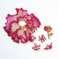 Nervous System Mini Wooden Puzzles (edition 1 + 2) Gift Set of 5 component 1