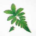Nervous System Mini Wooden Puzzles (edition 1 + 2) Gift Set of 5 component 1