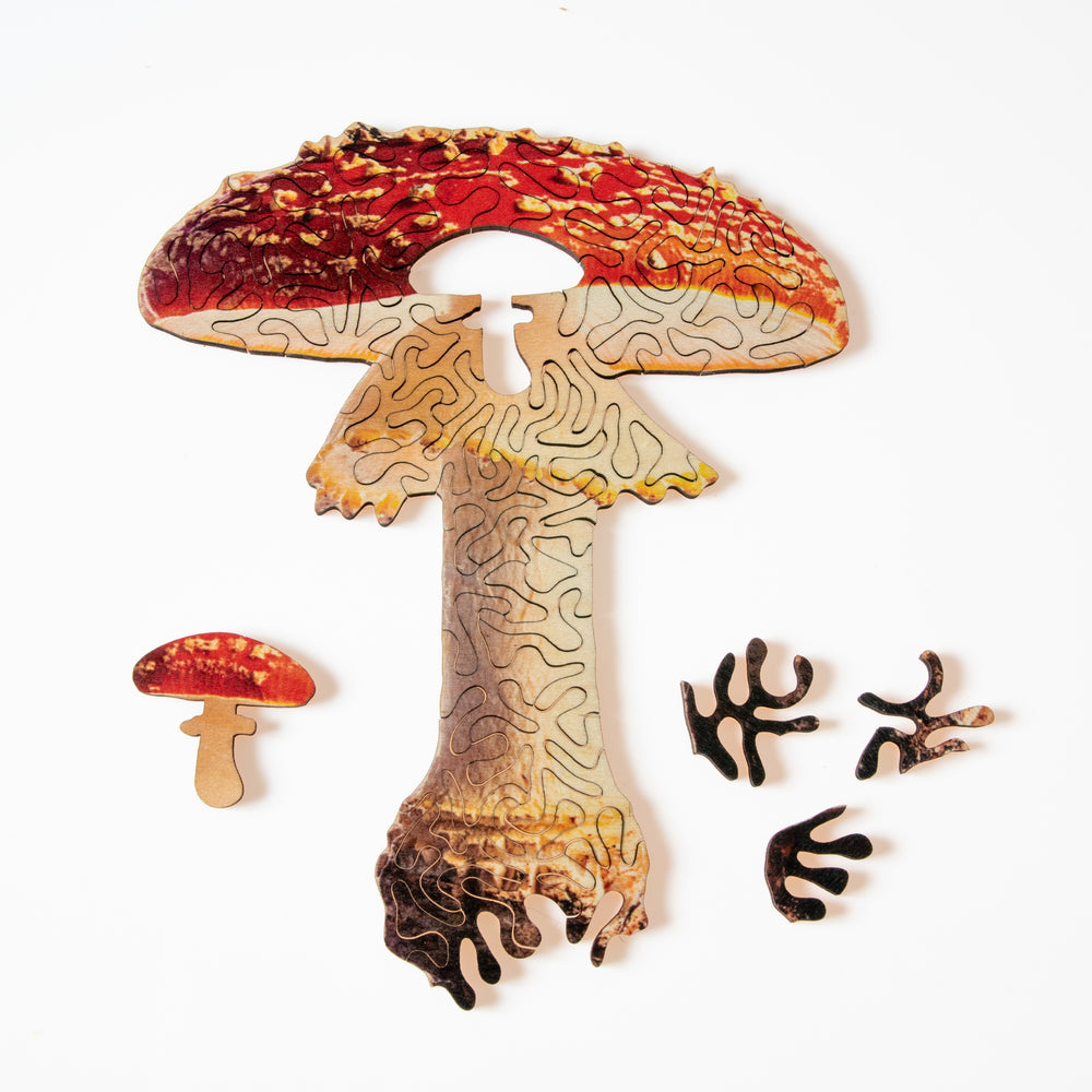 Nervous System Mini Wooden Puzzles (edition 1 + 2) Gift Set of 5 component 1