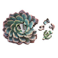 Nervous System Mini Wooden Puzzles (edition 1 + 2) Gift Set of 5 component 1