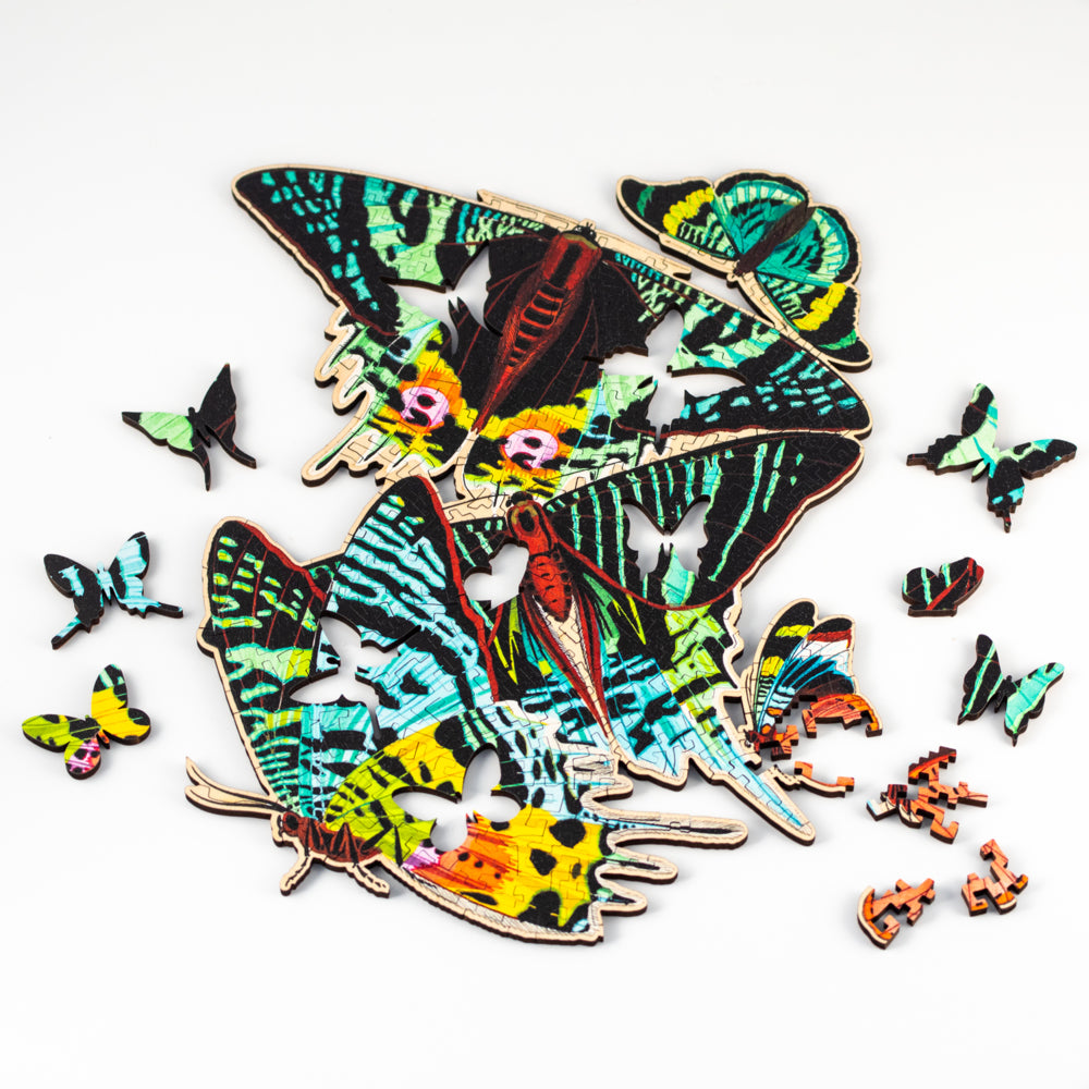 Nervous System Generative Jigsaw Puzzles Coordinated Set component 1