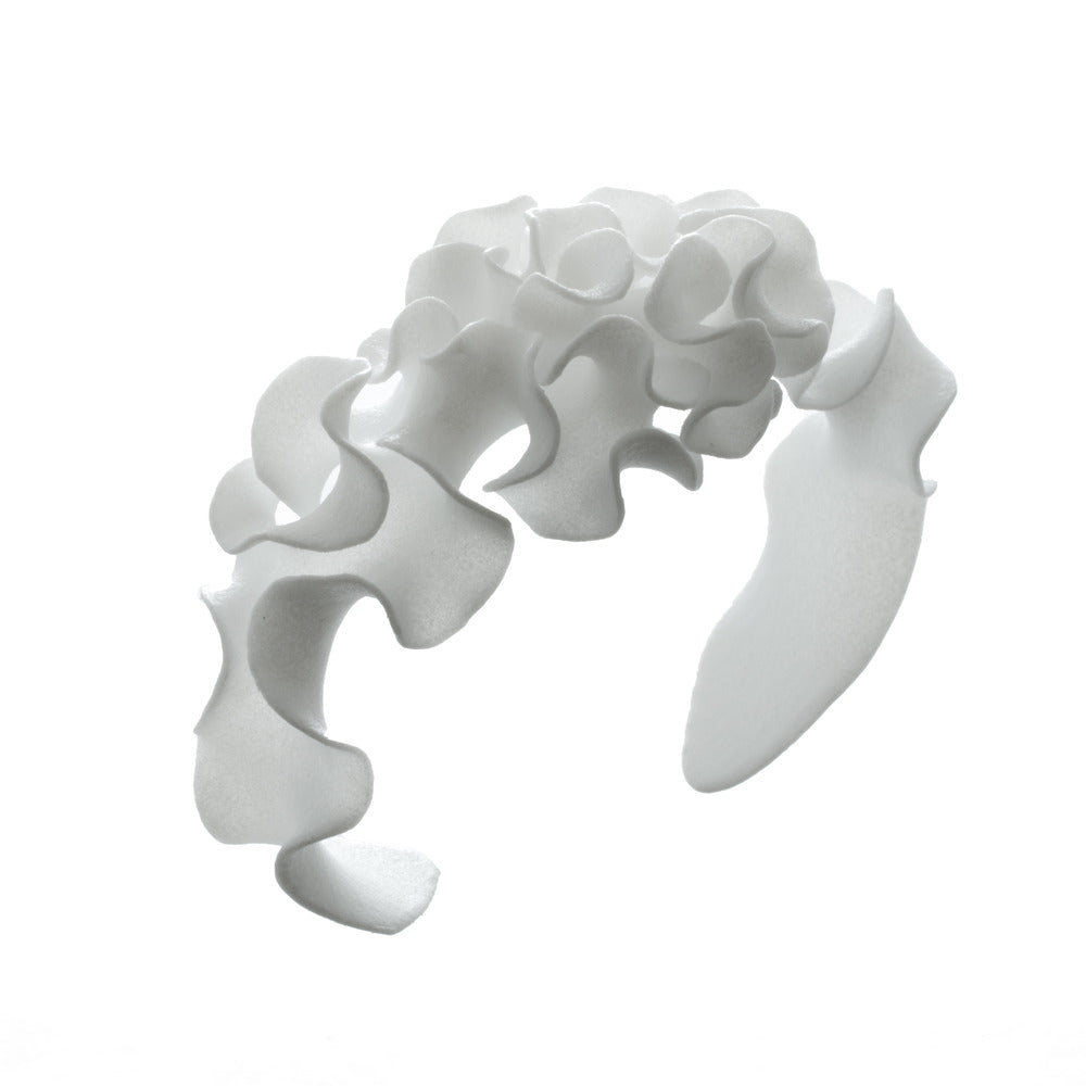 Nervous System Florescence Coordinated Set component 1