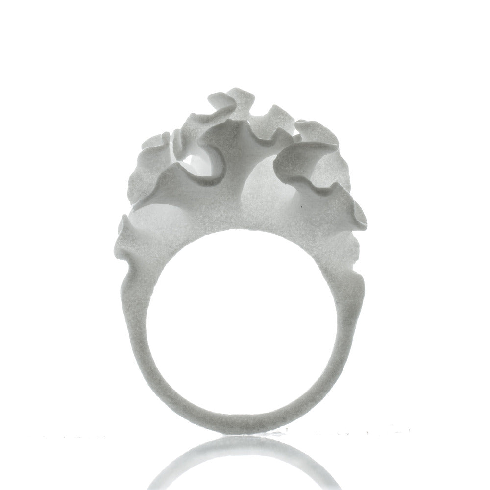 Nervous System Cnidaria Ring Gift Set of 4 component 1