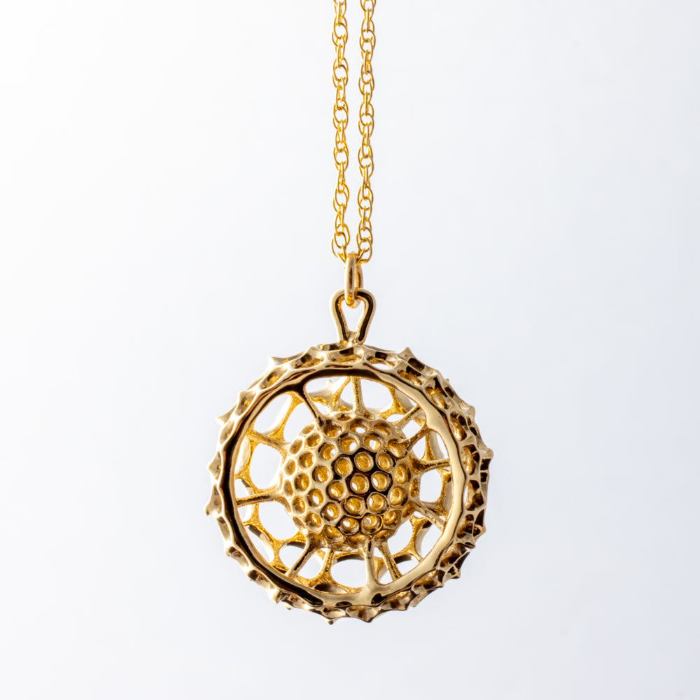 RADIOZOA NECKLACE BRASS | 24 inch chain