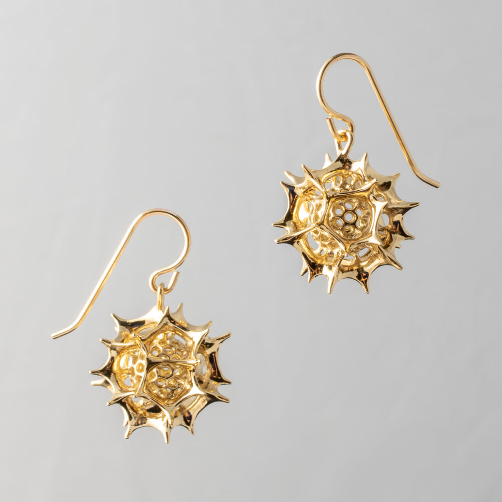 RADIOZOA ORB EARRINGS | brass
